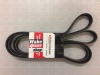 Ремень привода PCM GEN-5 H5/H6 R066040