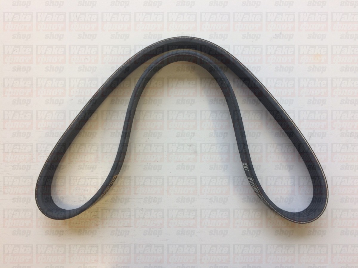 Ремень привода, INDMAR, 5.7L, LT-1