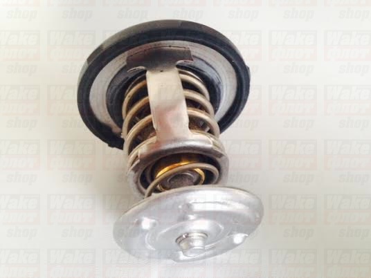 Термостат, INDMAR 6.0L GEN-4