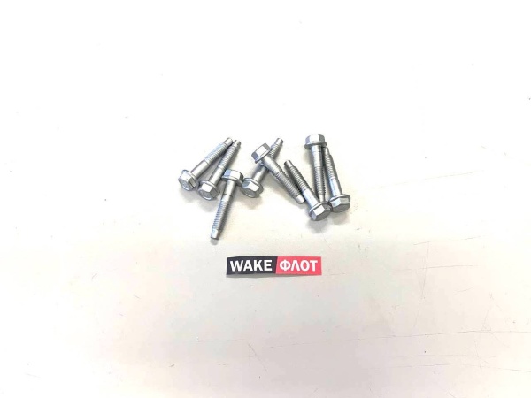 Набор болтов впускного коллектора 4.3L