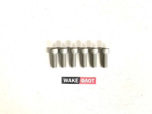 Болт демпфера, INDMAR (набор 6 шт.) INDMAR 566033Q