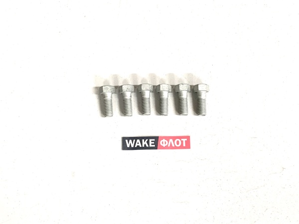 Болт демпфера, INDMAR/PCM (набор 6 шт.)