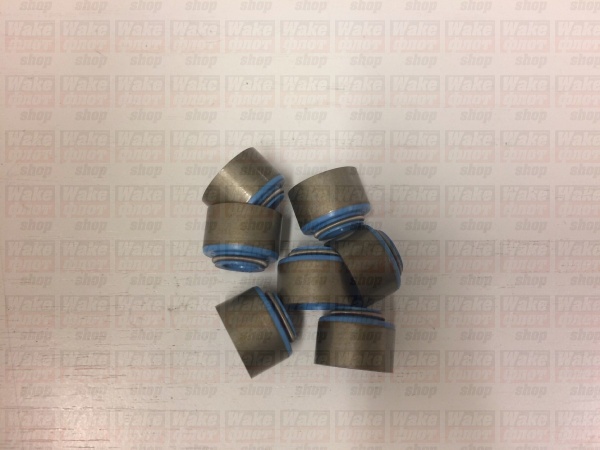 Колпачок маслосъемный GM 5.0L - 5.7L, комплект 16 шт.